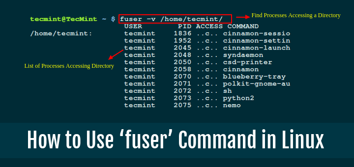 Linux fuser Command Examples