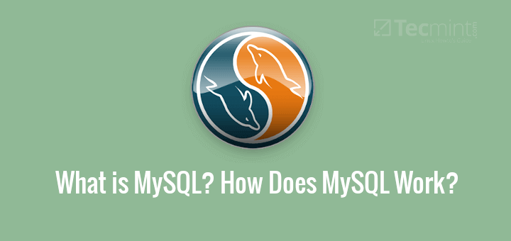 What is MySQL